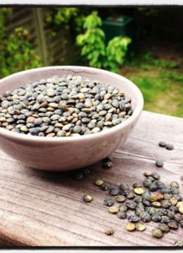 Les lentilles vertes : fiche produit, recettes, conseil d’achat et conservation