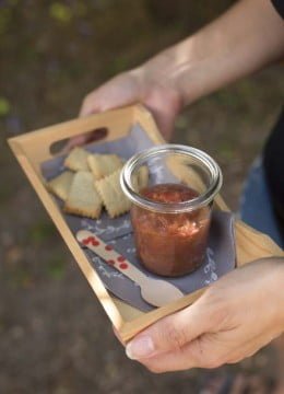 Compote fraises rhubarbe – à partir d’1 an