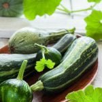 Calendrier des fruits et légumes de saison du mois de juillet - courgettes