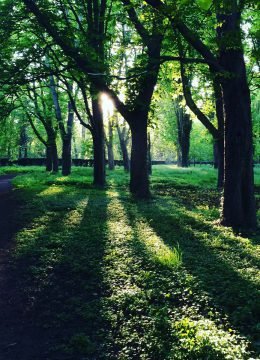 Balade au Parc de Sceaux