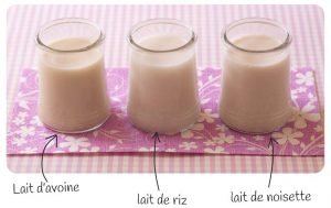 Comment utiliser les laits végétaux ? Comment sont fabriquées ces boissons végétales ?