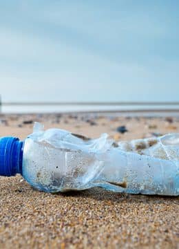 5 astuces pour renoncer au plastique – stop à la pollution des océans !