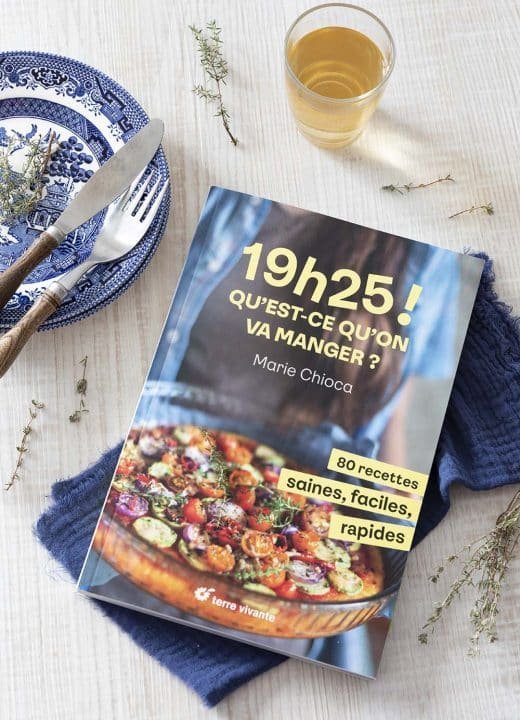 Livre Mes Recettes Détox Super Gourmandes De Marie Chioca Biodélices 